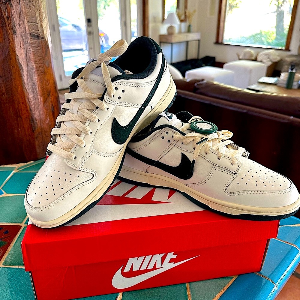 New Nike Dunk Low. Deep Jungle/Coconut Milk. Stock X verification. Men’s size 10